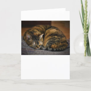 Slow Days, card