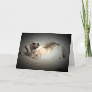 Slow Days, card