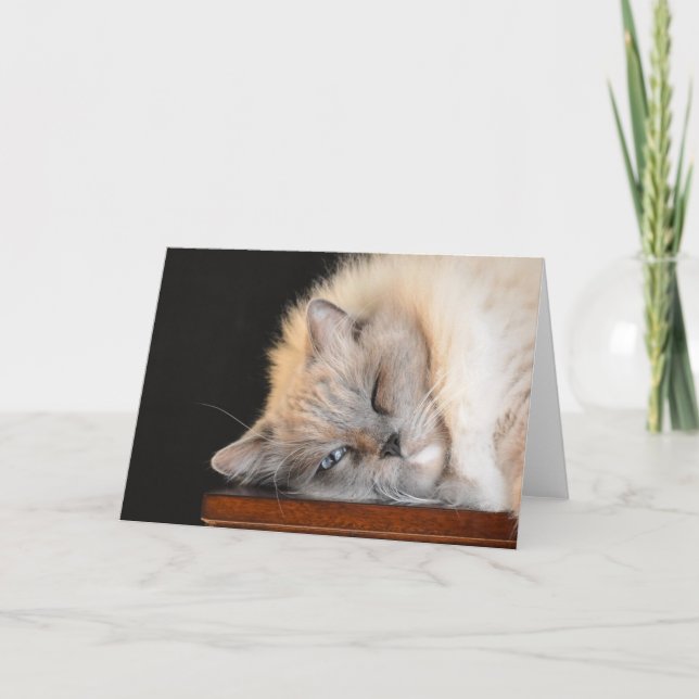 Slow Days, card (Front)