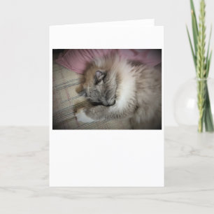 Slow Days, card