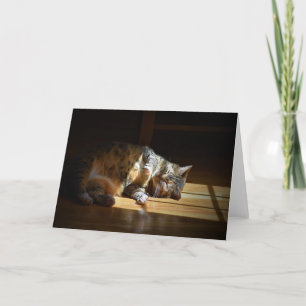 Slow Days, card
