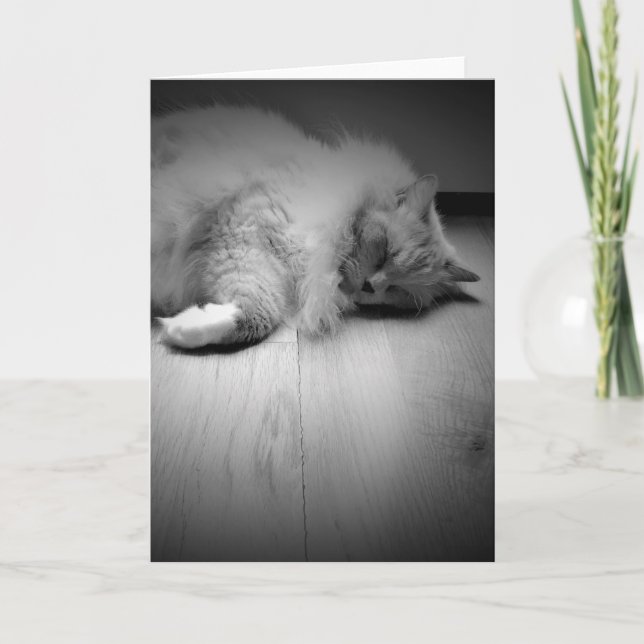 Slow Days, card (Front)