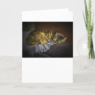 Slow Days, card