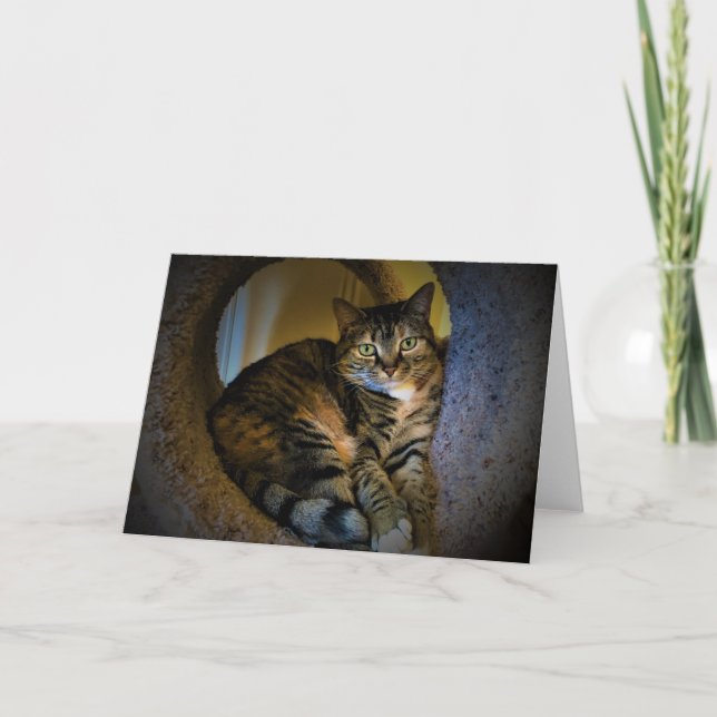 Slow Days, card (Front)