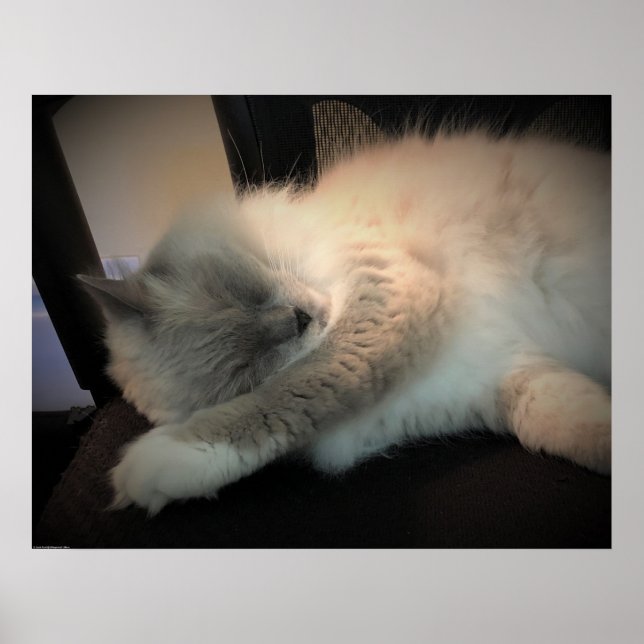 Slow Days, Poster (Front)