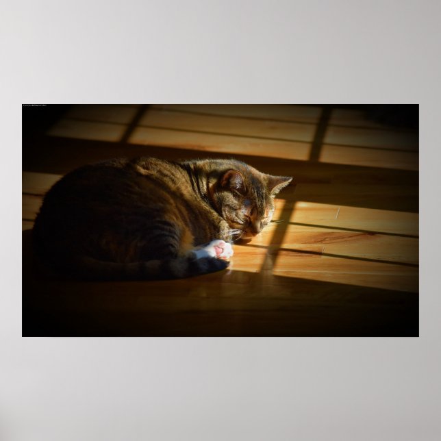 Slow Days, Poster (Front)