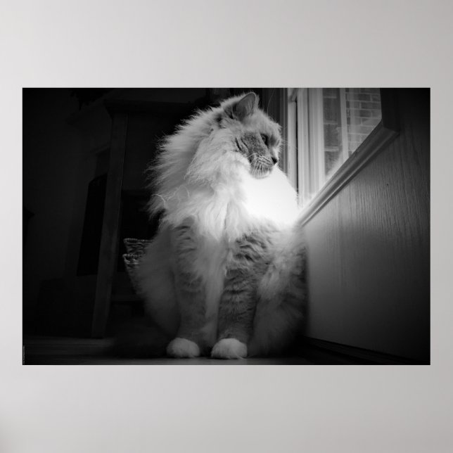 Slow Days, Poster (Front)