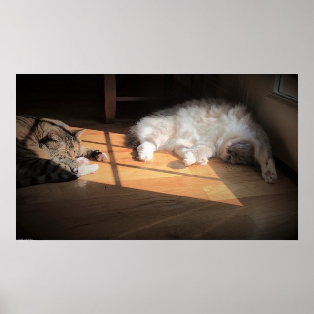 Slow Days, Poster (Front)