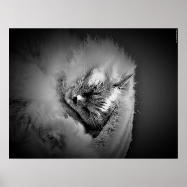 Slow Days, Poster (Front)