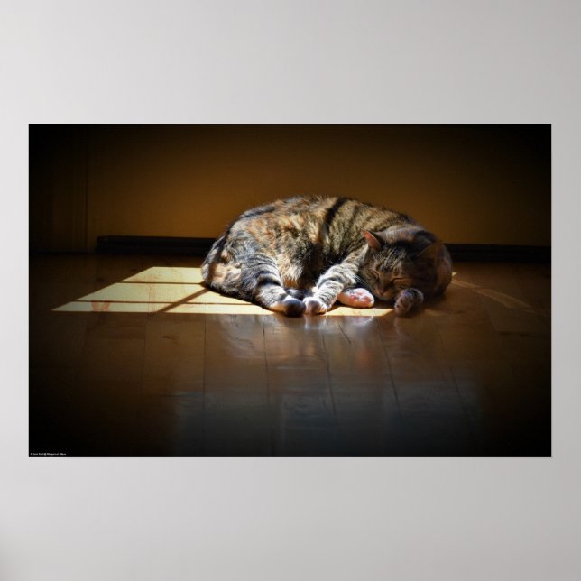 Slow Days, Poster (Front)