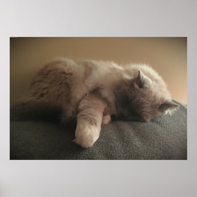 Slow Days, Poster (Front)