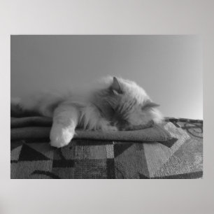 Slow Days, Poster