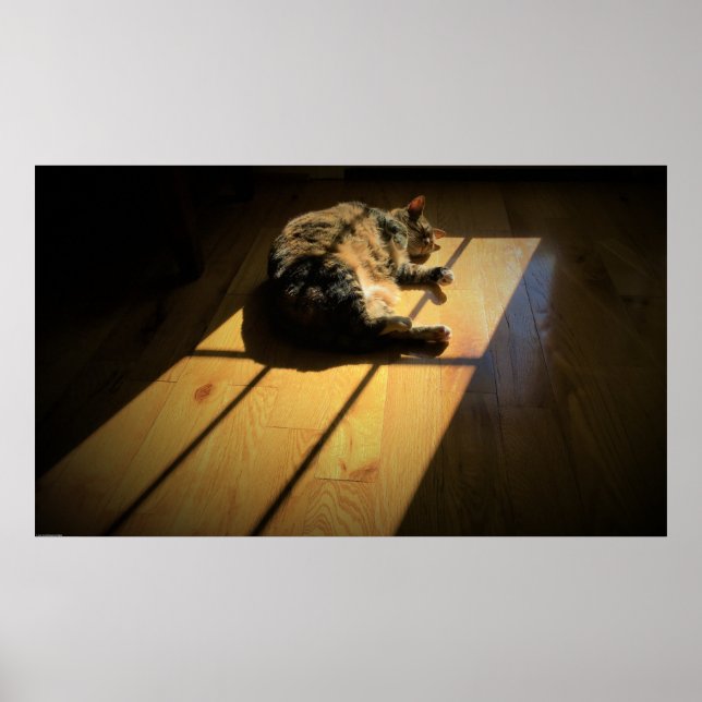 Slow Days, Poster (Front)