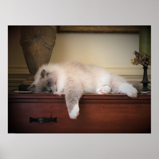 Slow Days, Poster (Front)