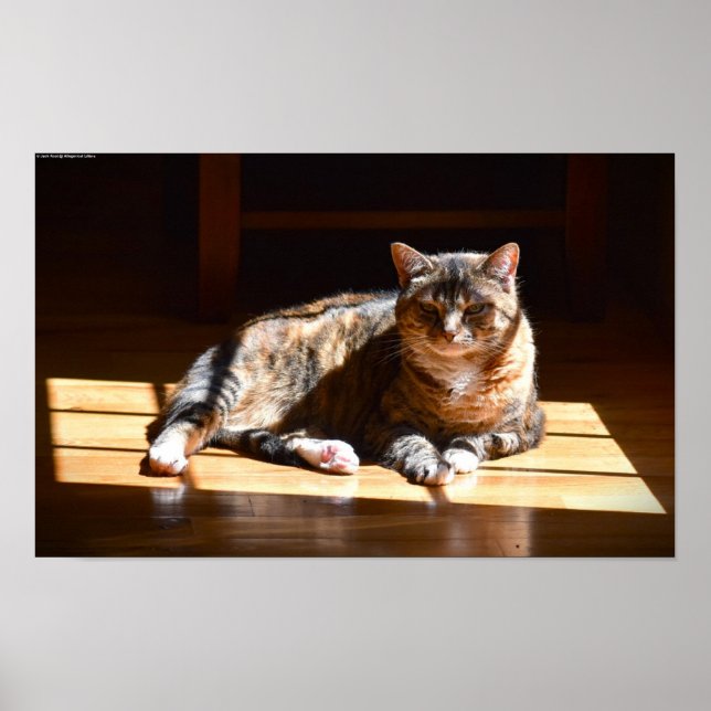 Slow Days, Poster (Front)