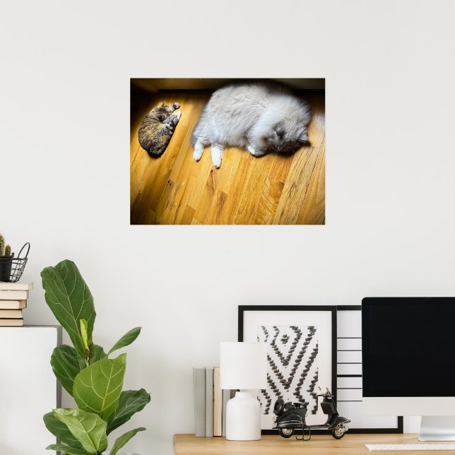 Slow Days, Poster (Home Office)