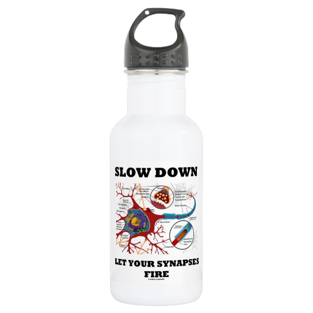 Slow Down Let Your Synapses Fire Neuron / Synapse 532 Ml Water Bottle (Front)