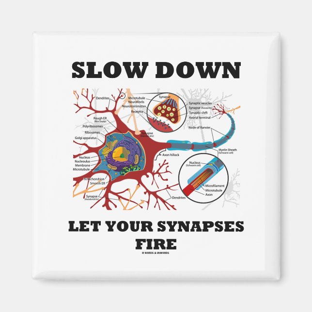 Slow Down Let Your Synapses Fire Neuron / Synapse Magnet (Front)