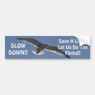SLOW DOWN!!, Save A Lif... Bumper Sticker