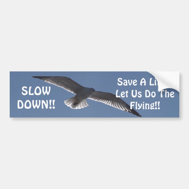SLOW DOWN!!, Save A Lif... Bumper Sticker (Front)