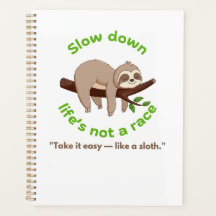 Slow Down – Sloth Graphic Tee & Gift