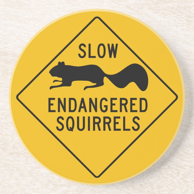 Slow Endangered Squirrels, Warning Sign, Maryland Coaster (Front)