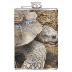 Slow Hip Flask