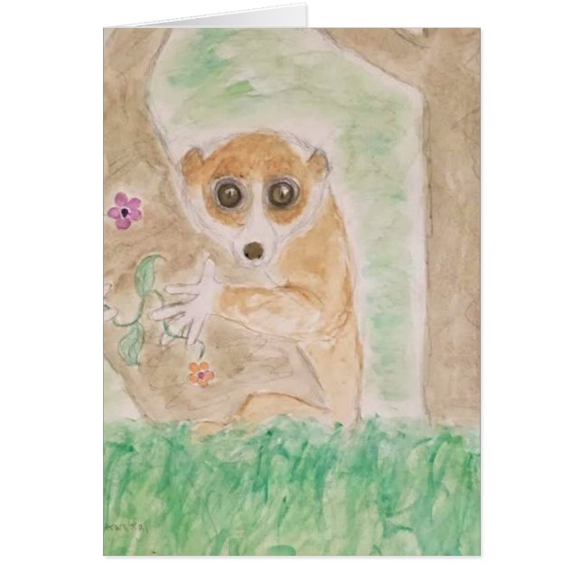 slow loris (Front)
