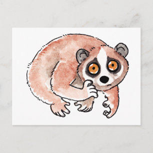 Slow Loris Postcard