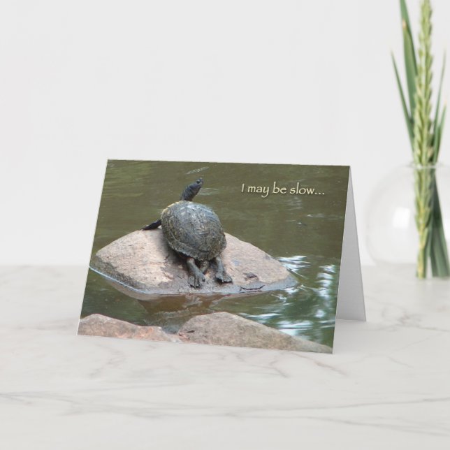 slow turtle birthday card (Front)