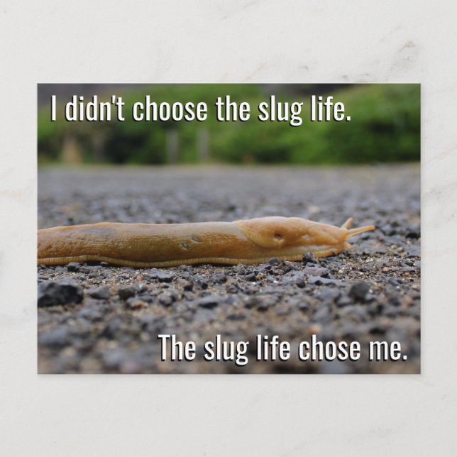 Slug Life Postcard (Front)