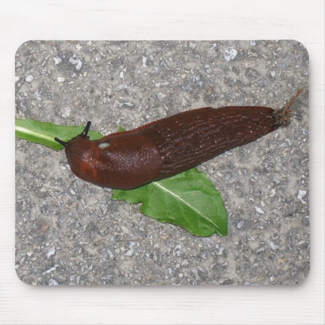 Slug Mouse Pad (Front)