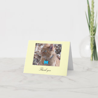Slugger thank you card