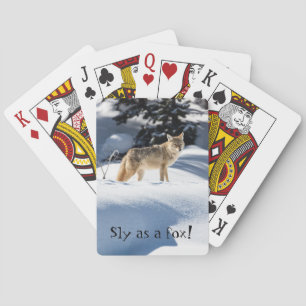 Sly as a Fox! Playing Cards with Animals Foxes