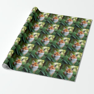 Sly The Orange Fox,  Wrapping Paper