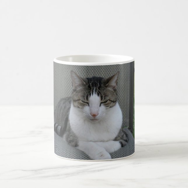 slyvester coffee mug (Center)