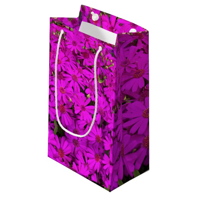 Sm Gift Bag Bright Pink Daisies (Front Angled)