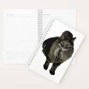 Sm Planner Maine Coon Cat