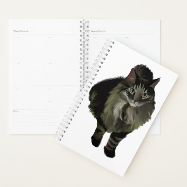 Sm Planner Maine Coon Cat (Display)