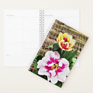 Sm Planner Pink/Yellow Tulips