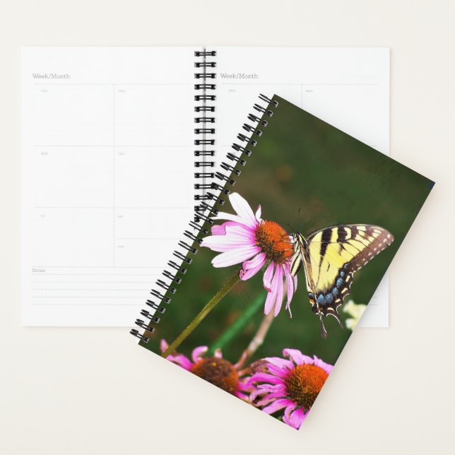 Sm Planner Tiger Swallowtail on Coneflower (Display)