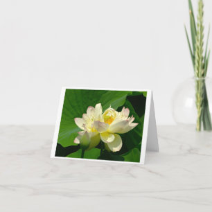 Small, 4" x 5.6" Folded Greeting Card
