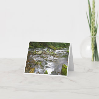 Small, 4" x 5.6" Folded Note Card