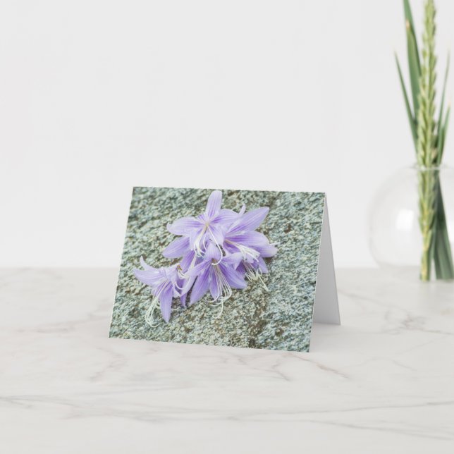 Small, 4" x 5.6" Folded Thank You Card (Front)