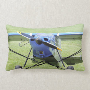 Small Aeroplane Parked On The Grass Lumbar Cushion