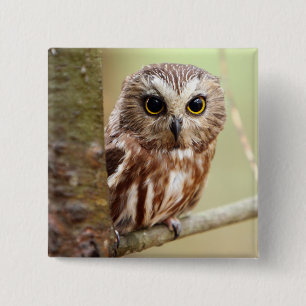 Small Baby Owl   Ontarios 15 Cm Square Badge