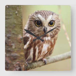 Small Baby Owl Ontarios Square Wall Clock