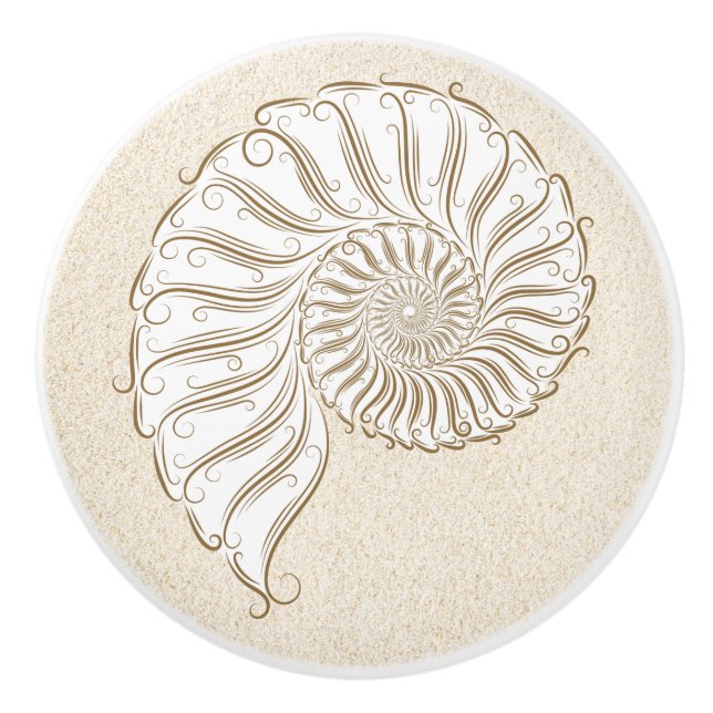 Small Beach Shell Drawer Knobs (Front)