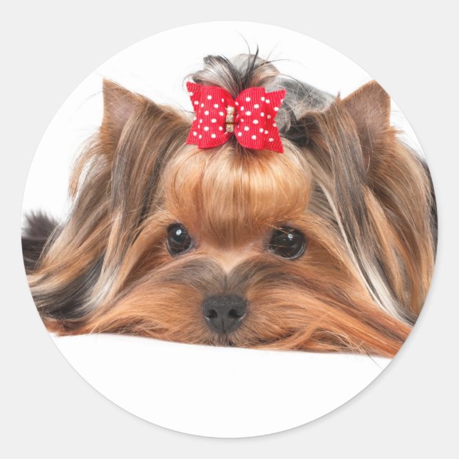 Small beauty classic round sticker (Front)