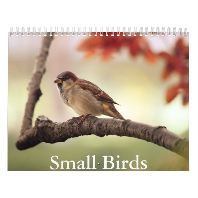 Small Bird Calendar (Cover)